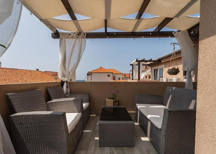 Zara * 돈제페트레케인