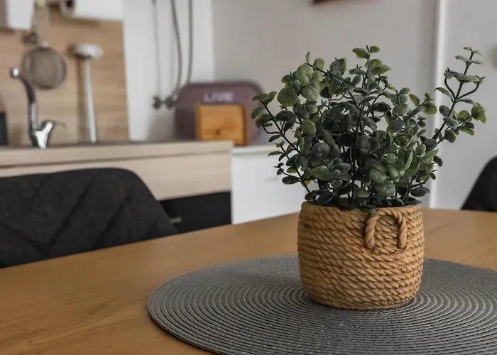 Zara Петрчане