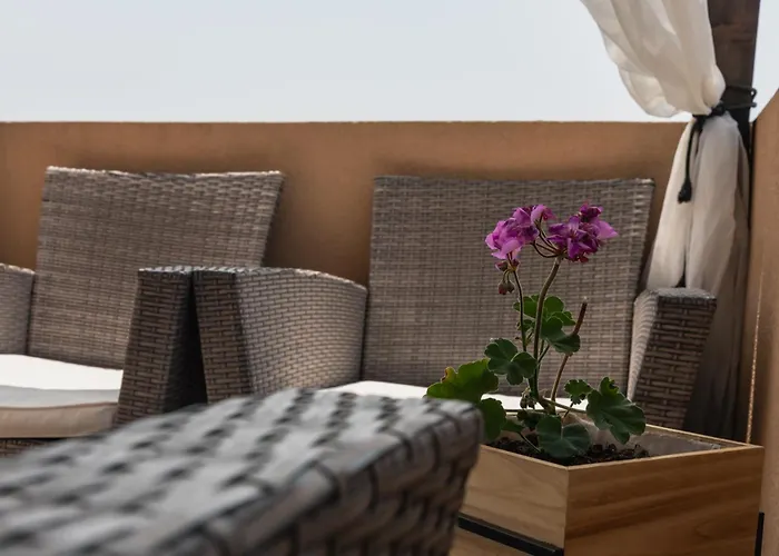 Zara Петрчане