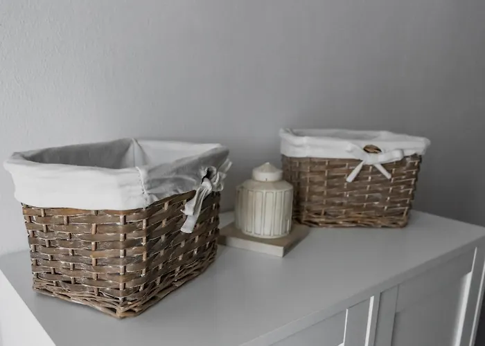 Zara 돈제페트레케인